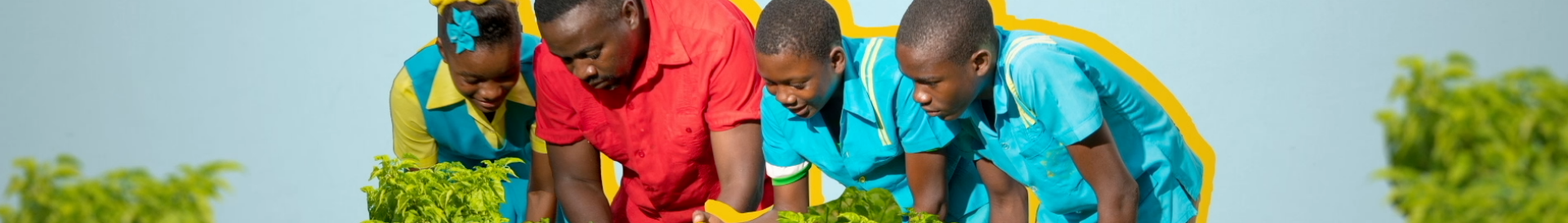 Agricultural Program Youth Animation